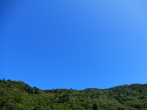 DSCN0014