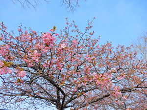 DSCN9425