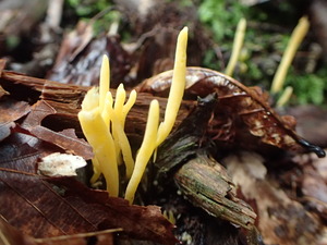 P9231065