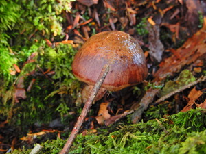 DSCN9463