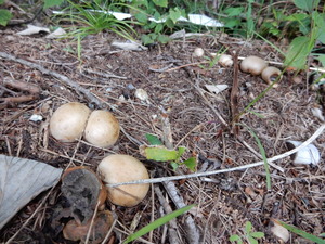 DSCN0692