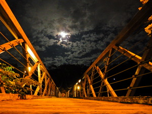 DSCN9875