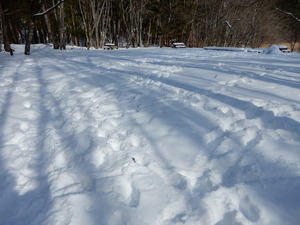 DSCN0263