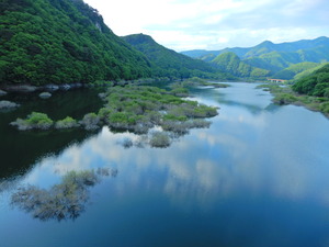 DSCN9654