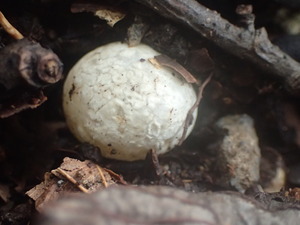 P9140792