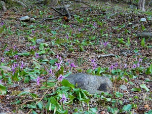 DSCN1644