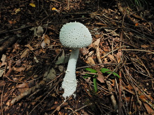 DSCN9553