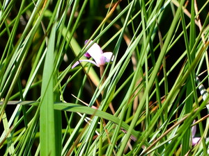DSCN0761