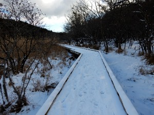 DSCN0841