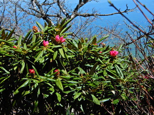 DSCN0203