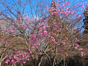 DSCN0047