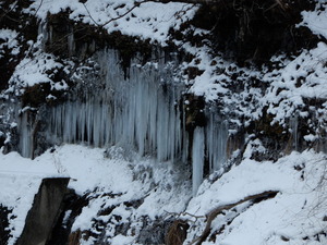 DSCN9422