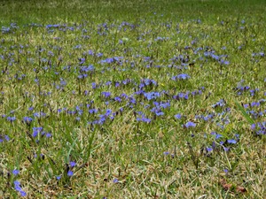 DSCN9904
