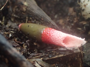 P9140794