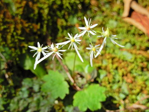 DSCN9824