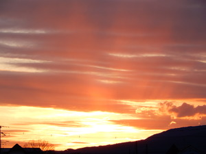 DSCN9708