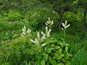 DSCN0257
