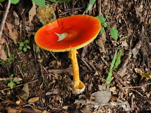 DSCN0505