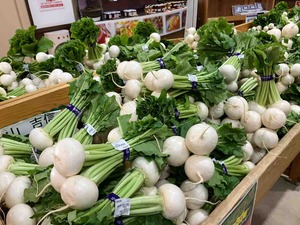 IMG_9231