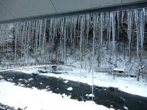 DSCN9385