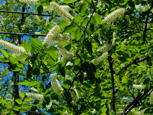 DSCN0424