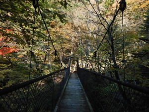 DSCN0189
