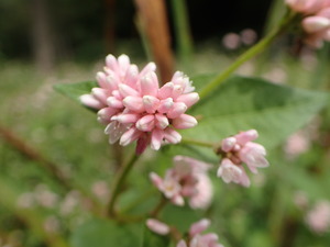 P9281230