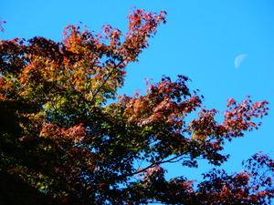DSCN9799