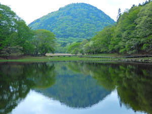 DSCN9595