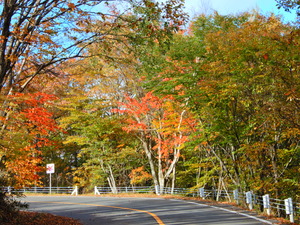 DSCN9856