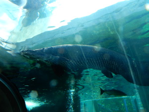 DSCN0862