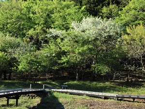 DSCN0446