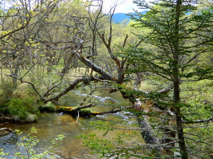 DSCN0735