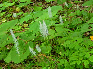 DSCN9754