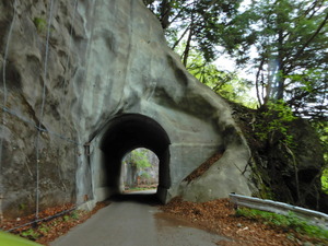 DSCN9976