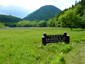 DSCN2093