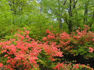 DSCN0180