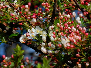 DSCN0849