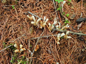 DSCN0437