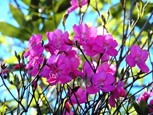 DSCN0379