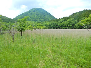 DSCN9329