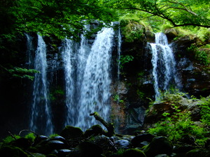 DSCN9597