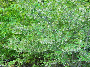 DSCN0254