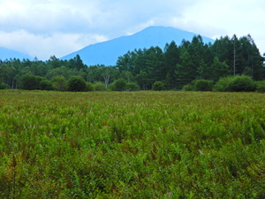 DSCN9589