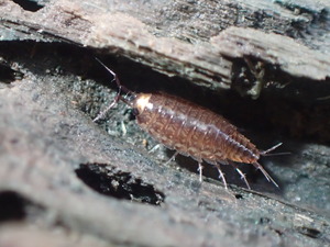 PA020251