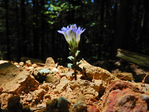 DSCN0257