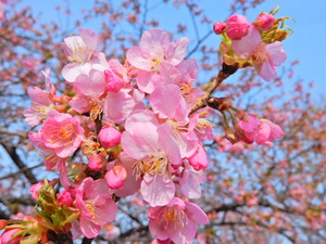 DSCN9429