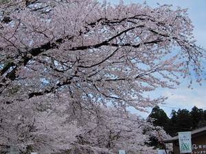 DSCN9759