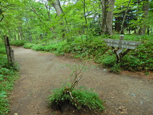 DSCN9683