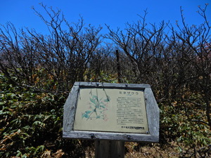 DSCN0174